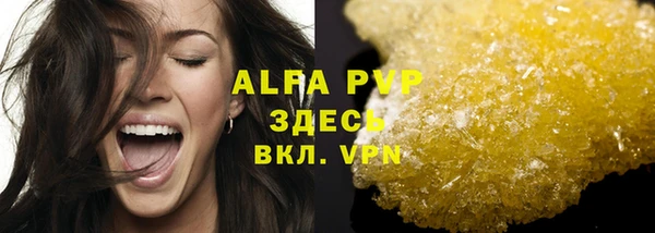 стаф Вязьма