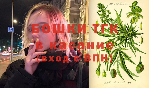 стаф Вязьма