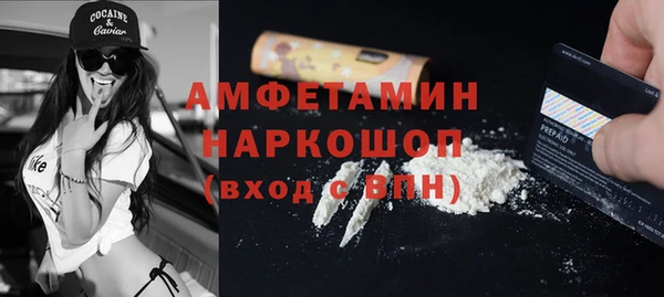 индика Горнозаводск