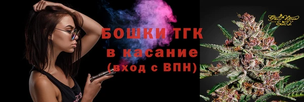 индика Горнозаводск