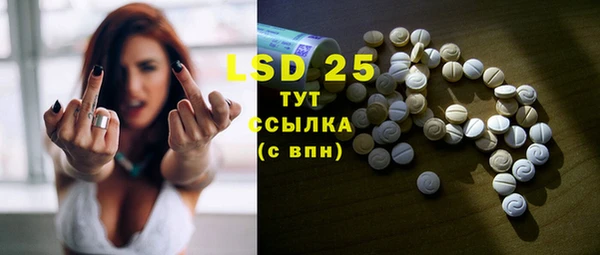 стаф Вязьма