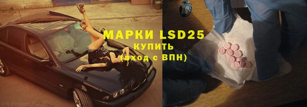 индика Горнозаводск