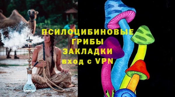 стаф Вязьма