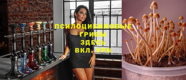 мескалин Горняк