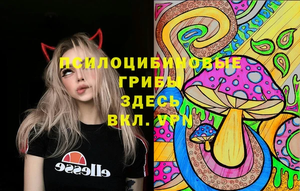 стафф Вязники