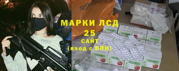 стаф Вязьма