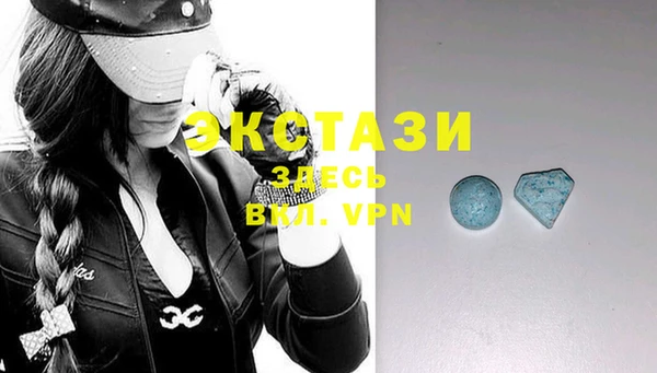 стаф Вязьма